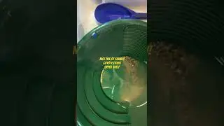 Coyote Creek Upper Shelf 1g #paydirt #goldpanning #prospecting #goldmining #goldprospecting