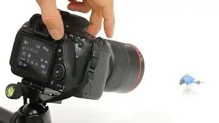 Handmatig scherpstellen in Live view en met beeldvergroten (Dutch)