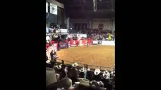 Scott Davis Ft. Worth bulls 2