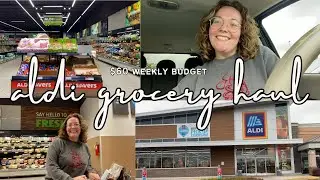 Vlog #161| Aldi Grocery Haul! $60 Weekly Grocery Budget! Featuring The Quest For Some Noodles lol
