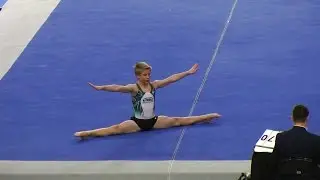 Tas Hajdu - 2017 JO Nationals - Level 8 JE