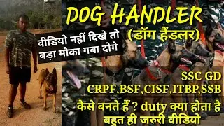 🐕Dog handler duty, recuitment || Ssc gd crpf, bsf, cisf, itbp, ssb, Army, police force