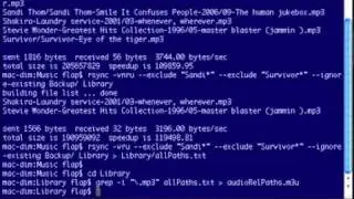 Screencast - Restoring files scattered on a backup drive using rsync