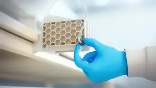 Faster Purification with Natrix&reg; CH Devices