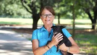 Auburn's Kiesel Park - Mary Dansak