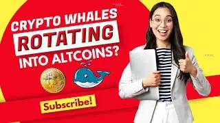ARE CRYPTO WHALES ROTATING INTO ALTCOINS?🐋🪙