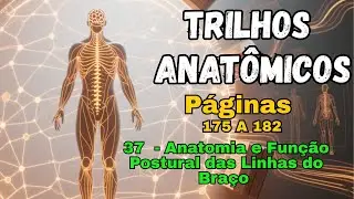 Trilhos Anatômicos -   Páginas  175 A 182