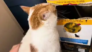 EATING MACHINE