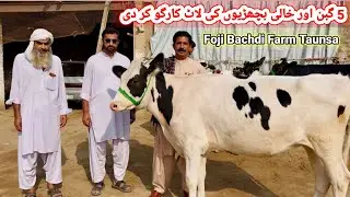 فوجی صاحب نے 5 پیور امپورٹڈ آسٹریلین فریزین گبن اور خالی بچھڑیوں کی لاٹ کارگو کر دی 