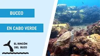 Buceo en Cabo Verde. 1 semana de inmersiones en la Isla de Sal