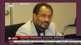 Kutaalee Addunyan garaa garaa keessatti oromoon haggansa Abiy Ahimed balaleefachaa jiru.