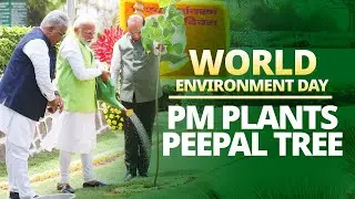 LIVE : PM Modi plants Peepal tree on World Environment Day