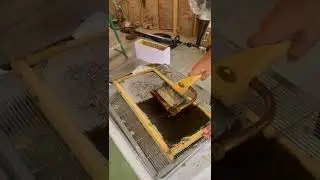 Decapping Honey Frames | Honey Harvest 2022