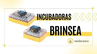 Ovation 56 PRO vs 56 ECO: As Principais Diferenças Explicadas | Brinsea Portugal