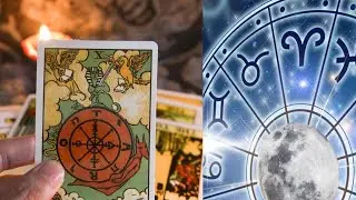 Divine Truth Tarot Coach is live...Feel It, Claim It 
