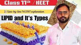 Lipids & Phospholipids Explained | Biomolecules Class 11 Biology NCERT | Easy Explanation