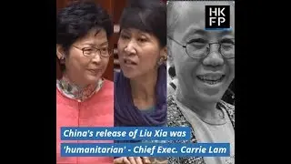As China releases Liu Xia, lawmaker asks HK leader: 'Are you a Beijing groveller?'
