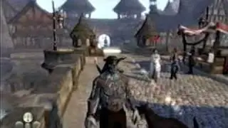 Fable 2 common glitches