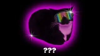 🐈&zwj;⬛ Maxwell The Cat Sound Variations in 60 Seconds (Ayieeeks's Archive)