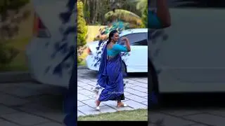 സാരിയുംപൊക്കികുത്തിഒറ്റ നടത്തം,എനിക്ക്പ്രാന്തായെന്ന് ഇവിടെയുള്ളവര്&zwj;ക്ക്തോന്നി കാണും;വീഡിയോയുമായി വരദ