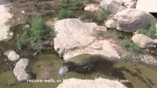 Using Biomimicry to Create Rivers and Streams in Saudi Arabia