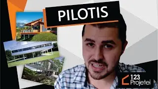 Pilotis - O que s&atilde;o, como vivem e do que se alimentam?!
