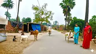 The Most Peaceful Morning in an Indian Village | Experiencing the Rustic Life of India