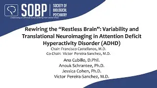 Rewiring the &ldquo;Restless Brain&rdquo;: Variability & Translational Neuroimaging in ADHD