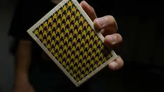 Anyone Houndstooth Playing Cards