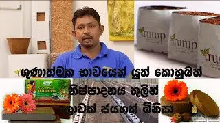 Episode 33 - ගුණාත්මක භාවයෙන් යුත් කොහුබත් නිෂ්පාදනය තුලින් ලොවක් ජයගත් මිනිසා