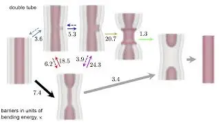 Fission of Double-Membrane Tubes under Tension (short)