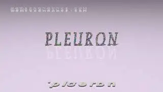 pleuron - pronunciation