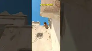 B Site Smokes On Dust 2 CS2 #shorts