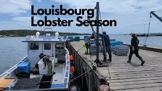 Луисбургский омар 🦞 Сезон
