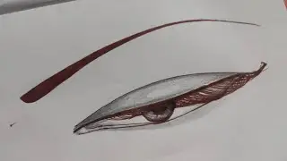How To Draw Eyes For Beginners | Half Open Eyes