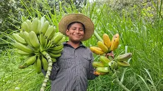 Vendí mis plátanos para comprar mis útiles escolares 