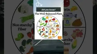 Health tips | How to create a healthy plate of food #healthtips #shorts