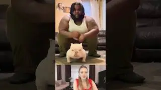 dog videos | 2025 Unbelievable Dog & Owner Lookalikes | Funny animal Videos