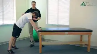 Weight Bearing in Shoulder II