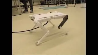 20190426 Quadruped Robot Solo - First Tests