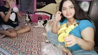 Aaj to khub maja 😁 aa gaya sach mein 😋 bohot hi majedar papad khakar #vlogs