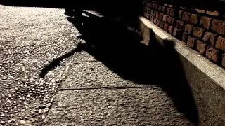 Gecko Turner - You Can't Own Me
