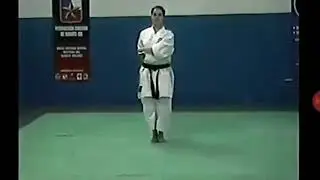 PINAN godan
