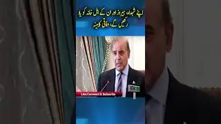 Will remember our martyrs, heroes and their families, Federal Cabinet| breaking news | News Pakistan