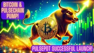 Bitcoin & Pulsechain Pump! PulsePot Successful Launch!