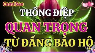 Tarot Thông Điệp Quan Trọng Mà Các Đấng Bảo Hộ Đang Muốn Gửi Đến Bạn
