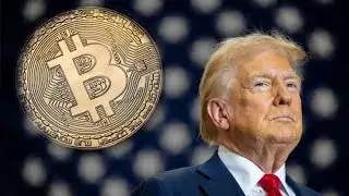 Bitcoin 2025 What Lies Ahead - The TrumpMomentum