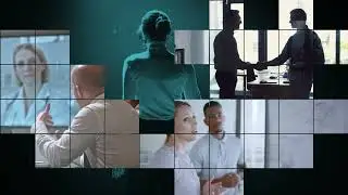 Welcome to the Expert Collective