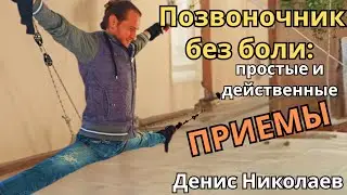 Позвоночник без боли: простые и действенные приемы. Денис Николаев. 🔹Project Bravo🔹