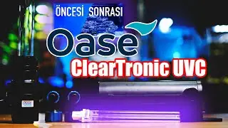 Oase ClearTronic UV Filtre 11w - Ne İşe Yarar? Tanktaki Sorunu Nasıl Çözdü? Kullanılmalı mı?